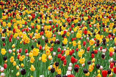 《星鸣特攻》销量可能只有2.5万份 太正确没人玩