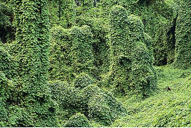 《明末：渊虚之羽》被批辱女 遭豆瓣女玩家小组抵制