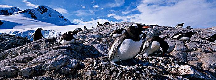 英国一周实体游戏销量榜：《星空》无意外夺冠