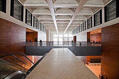 《皮克敏4》媒体评分解禁 M站均分88